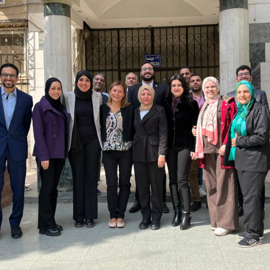 Partnership to Effective Testing project in Egypt and the Czech Republic